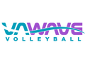 VA Wave decal/sticker