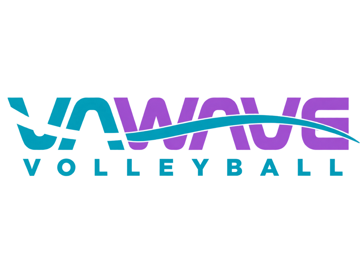 VA Wave decal/sticker